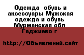 Одежда, обувь и аксессуары Мужская одежда и обувь. Мурманская обл.,Гаджиево г.